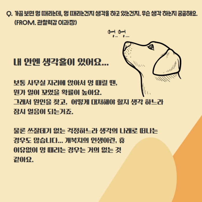 Q. 가끔 보면 멍 때리는데, 멍 때리는건지 생각을 하고 있는건지. 무슨 생각 하는지 궁금해요.(FROM. 관찰력갑 이과장) , 멍.. 멍... , 내 안에 생각홀이 있어요... 보통 사무실 자리에 앉아서 멍 때릴 땐, 뭔가 일이 꼬였을 확률이 높아요. 그래서 원인을 찾고, 어떻게 대처해야 할지 생각 하느라 잠시 얼음이 되는거죠. 물론 쓰잘데기 없는 걱정하느라 생각의 나래로 떠나는 경우도 많습니다... 개복치의 인생이란, 휴 이유없이 멍 때리는 경우는 거의 없는것 같아요.