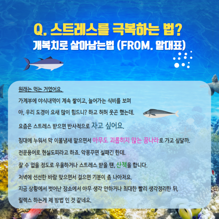 Q. 스트레스를 극복하는 법 ? 개복치로 살아남는법(FROM. 알대표) , 원래는 먹는 거였어요. 가계부에 야식내역이 계속 쌓이고, 늘어가는 식비를 보며 아, 우리 도경이 요새 많이 힘드니 ? 하고 허허 웃곤 했는데. 요즘 스트레스 받으면 반사적으로 자고 싶어요. 침대에 누워서 막 이불냄새 맡으면서 아무도 괴롭히지 않는 꿈나라로 가고 싶달까. 전문영어로 현실도피라고 하죠. 악몽꾸면 실패긴 한데. 잘 수 없을 정도로 우울하거나 스트레스 받을 땐 , 산책을 합니다. 저녁에 신선한 바람 맞으면서 걸으면 기분이 좀 나아져요. 지금 상황에서 벗어난 장소에서 아무 생각 안하거나 최대한 빨리 생각정리한 뒤, 릴렉스 하는게 제 방법 인 것 같네요. ,
