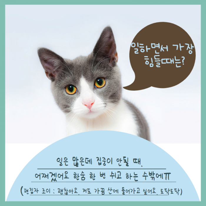 일하면서 가장 힘들때는? 일은 많은데 집중이 안될 때. 어쩌겠어요 한숨 한 번 쉬고 하는 수밖에 (편집자 조이: 괜찮아요. 저도 가끔 산에 들어가고 싶어요. 토닥토닥)